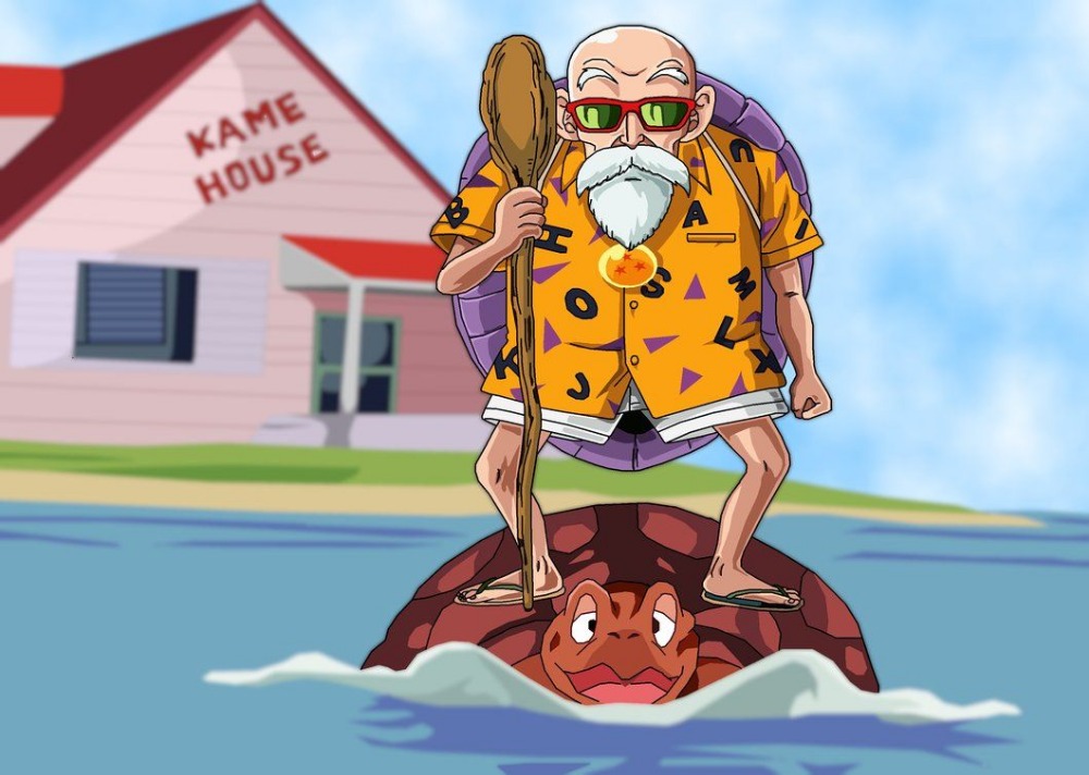 Master Roshi On Turtle
